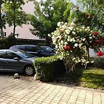 Guest Dental Space 3*