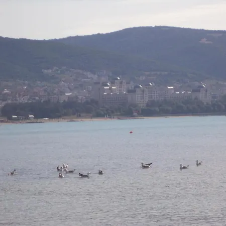 Апарт-готель Guest Dental Space 3*