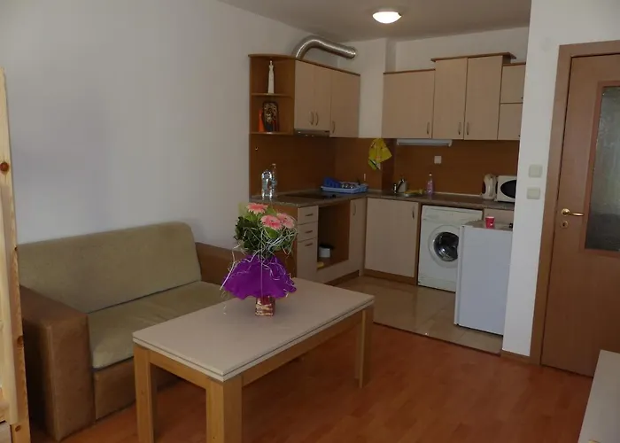 Guest Dental Space 3* Sluneční pobřeží